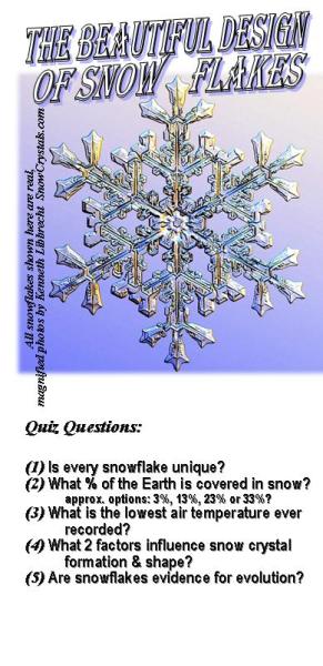 A snowflake